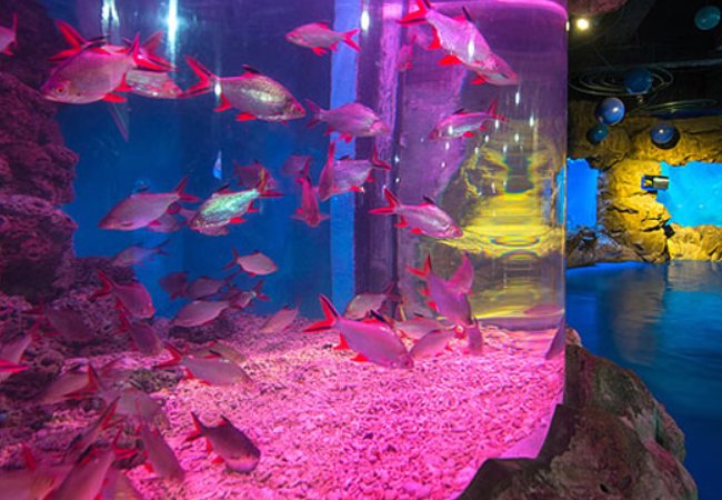 烟台景点排行榜前十名