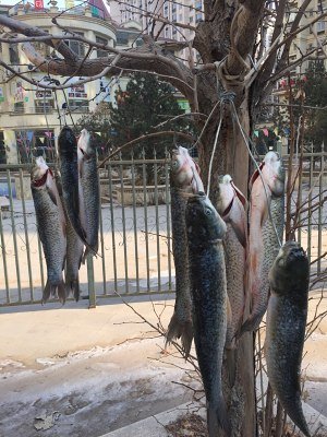 谁知道无骨鱼的做法？