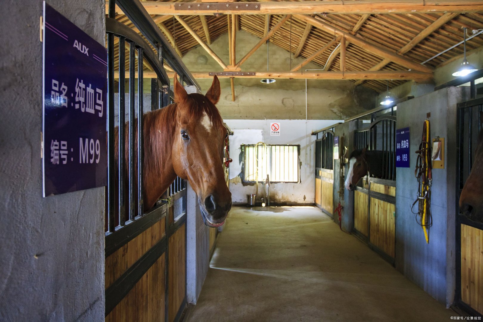 沈阳有什么好玩的亲子营吗？