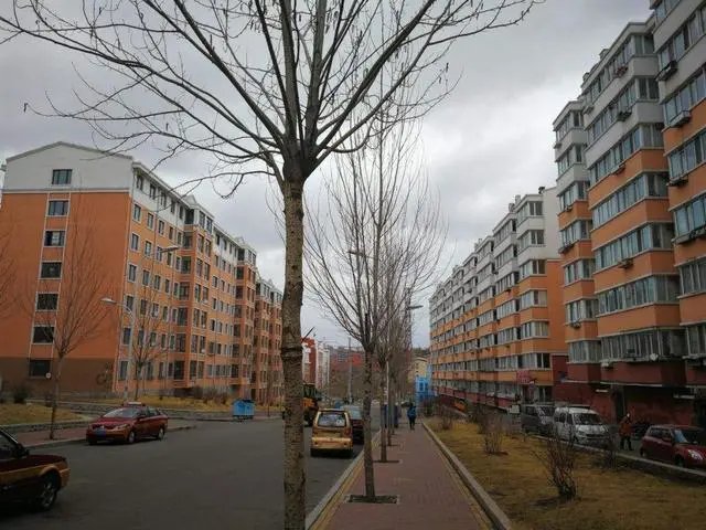 在鹤岗3万买房，几个月后为何2.2万出售？