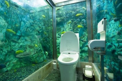 如何看待重庆医院现“观赏式”厕所一事?