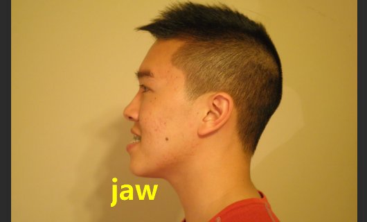 jaw是什么意思