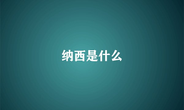 纳西是什么