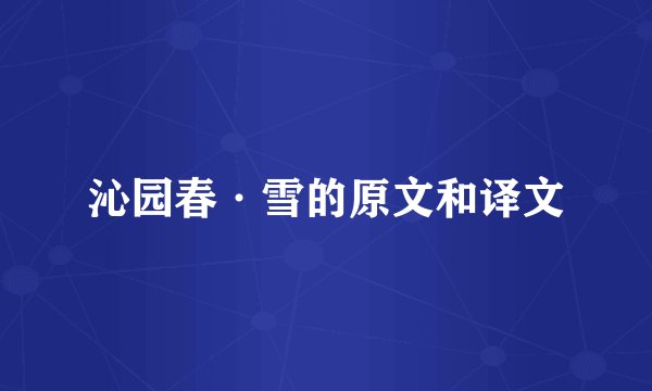 沁园春·雪的原文和译文