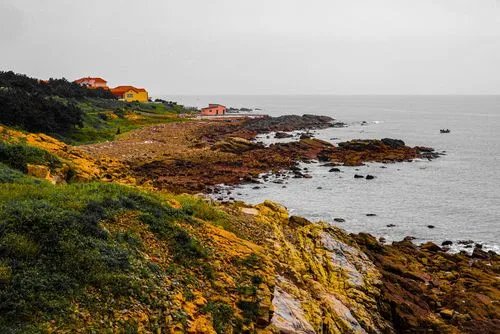 田横的来历和历史故事是什么？