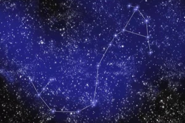 11月8日是什么星座