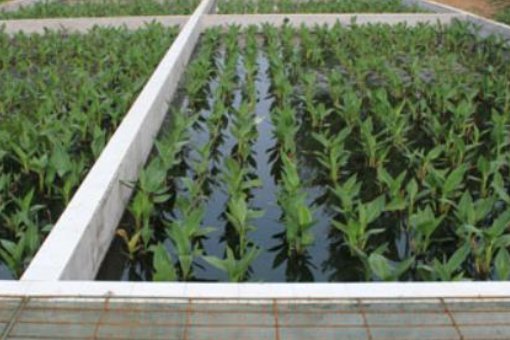 一般的农村生活污水处理方法有哪些？