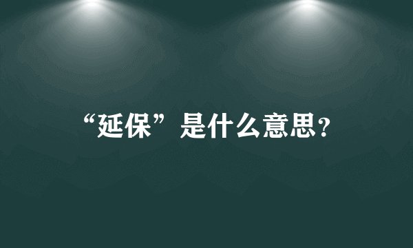 “延保”是什么意思？