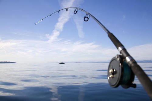 大连一男子顶着大雪钓鱼，他这得有多爱好钓鱼呢？