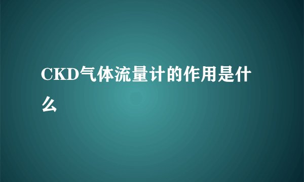 CKD气体流量计的作用是什么