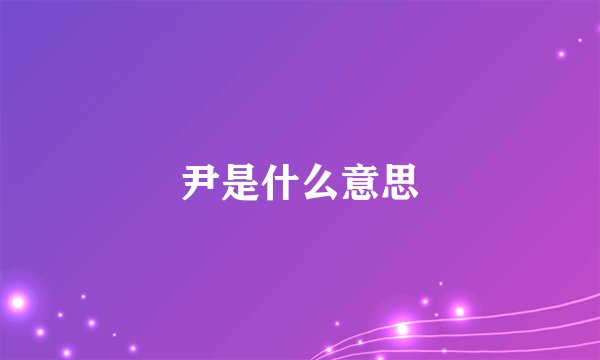 尹是什么意思