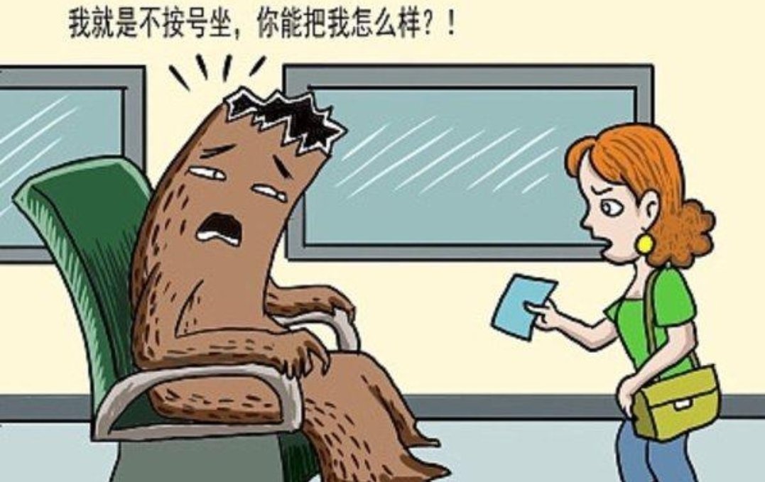 高铁一霸座女被罚款200元，误点后坐下趟列车同一座位，网友怎样评论的？