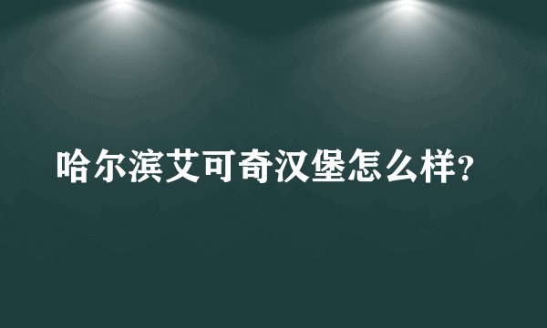 哈尔滨艾可奇汉堡怎么样？