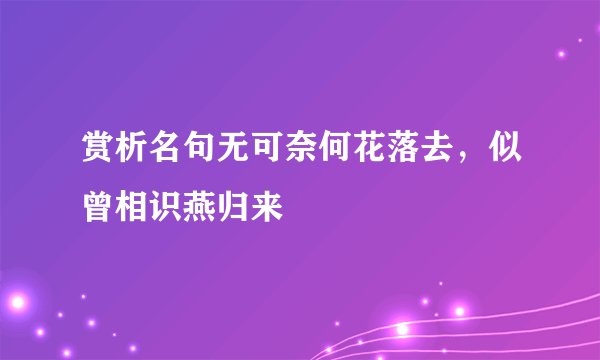 赏析名句无可奈何花落去，似曾相识燕归来