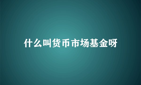 什么叫货币市场基金呀
