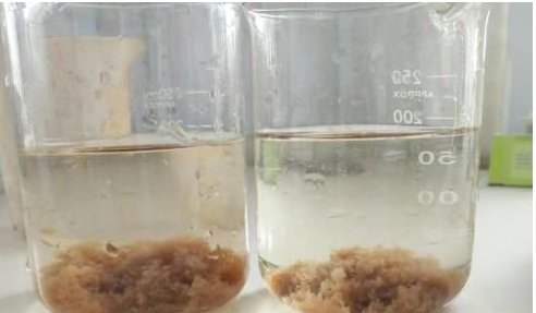 brix单位是什么 怎么换算成克/升