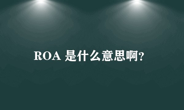 ROA 是什么意思啊?