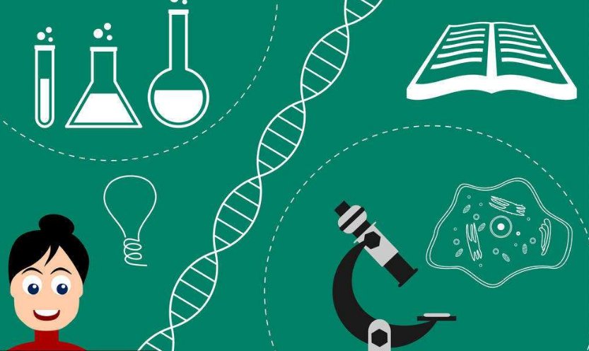 science是什么意思