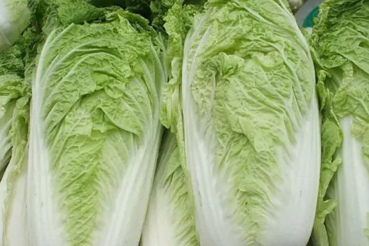 青岛的特产有哪些？