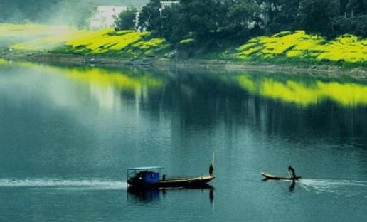 与朱元思书原文及翻译