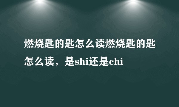 燃烧匙的匙怎么读燃烧匙的匙怎么读,是shi还是chi