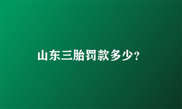 山东三胎罚款多少？