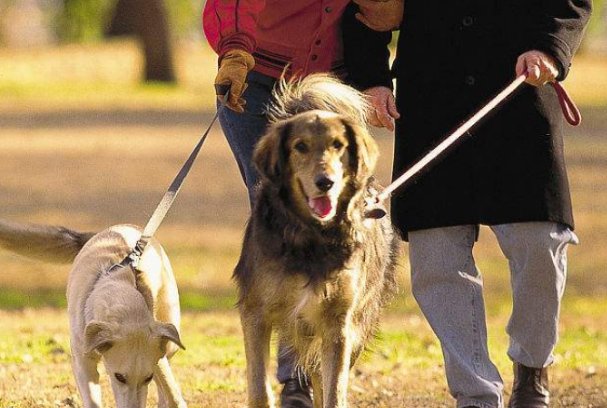 武汉女子与遛狗邻居冲突后轻生,此事件的具体详情是怎样的?