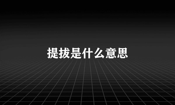 提拔是什么意思