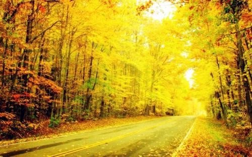 退避三舍的意思？