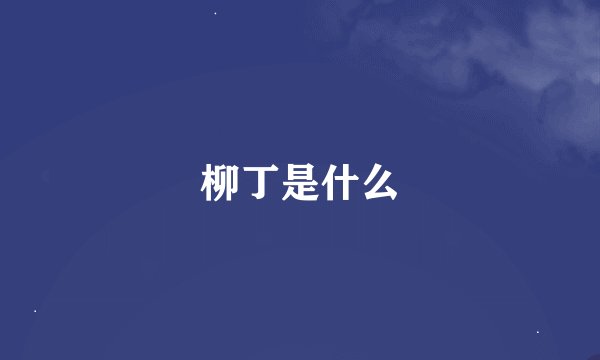 柳丁是什么