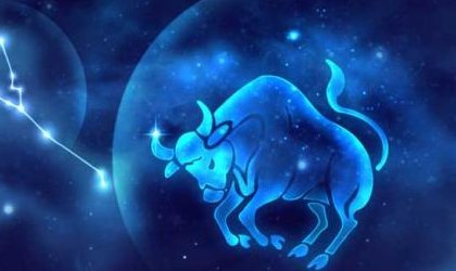 taurus网名什么意思？