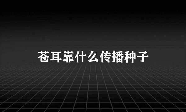 苍耳靠什么传播种子