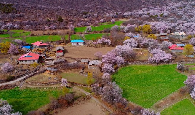 波密县属于哪个省市