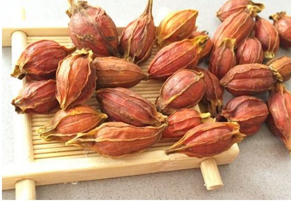 栀子有什么功效与作用?