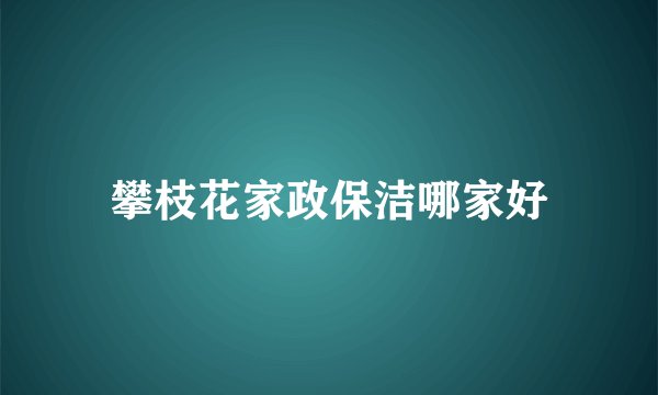 攀枝花家政保洁哪家好