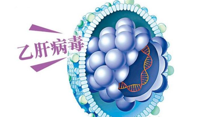 HBsAb是什么意思