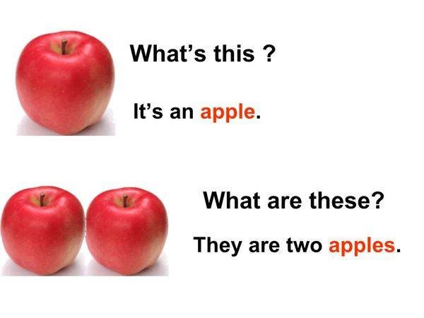 复数是什么意思？