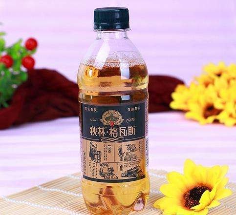 格瓦斯是什么意思