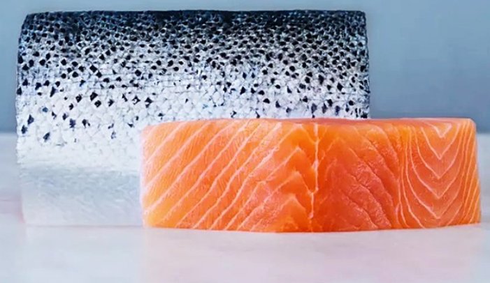 虹鳟鱼和三文鱼有何区别？