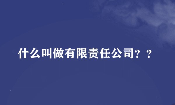什么叫做有限责任公司？？