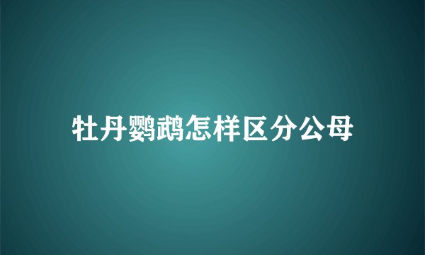 牡丹鹦鹉怎样区分公母