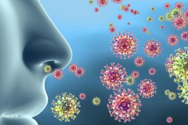 现在的病毒叫什么名字2021