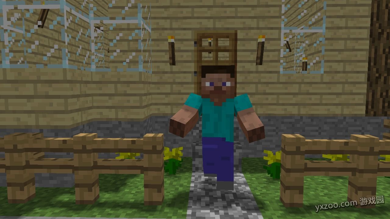 黑史蒂夫的简介