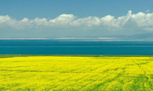 青海和敦煌的旅游包车是怎么收费的？有合适的路线推荐吗？