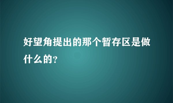 好望角提出的那个暂存区是做什么的？