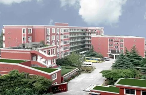上海位育中学排名
