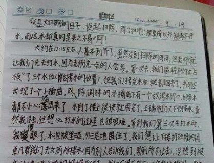Diary什么意思？