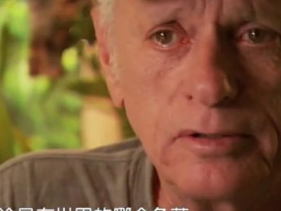 《海豚湾》是讲什么的