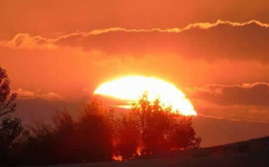 二月初一是什么日子