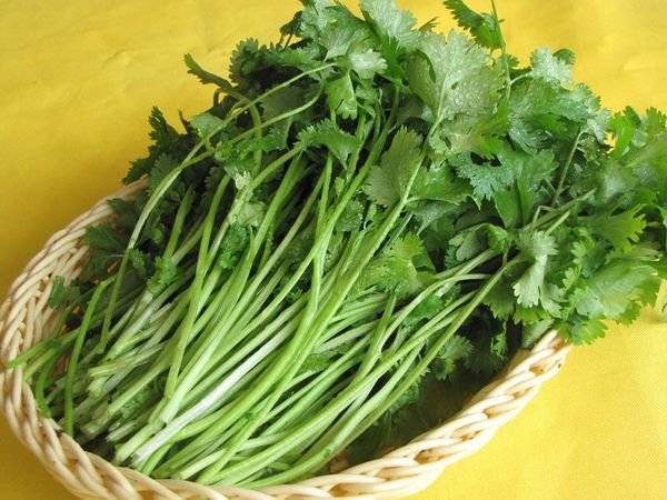 香菜的功效与作用